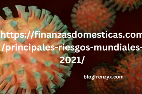 https://finanzasdomesticas.com/principales-riesgos-mundiales-2021/