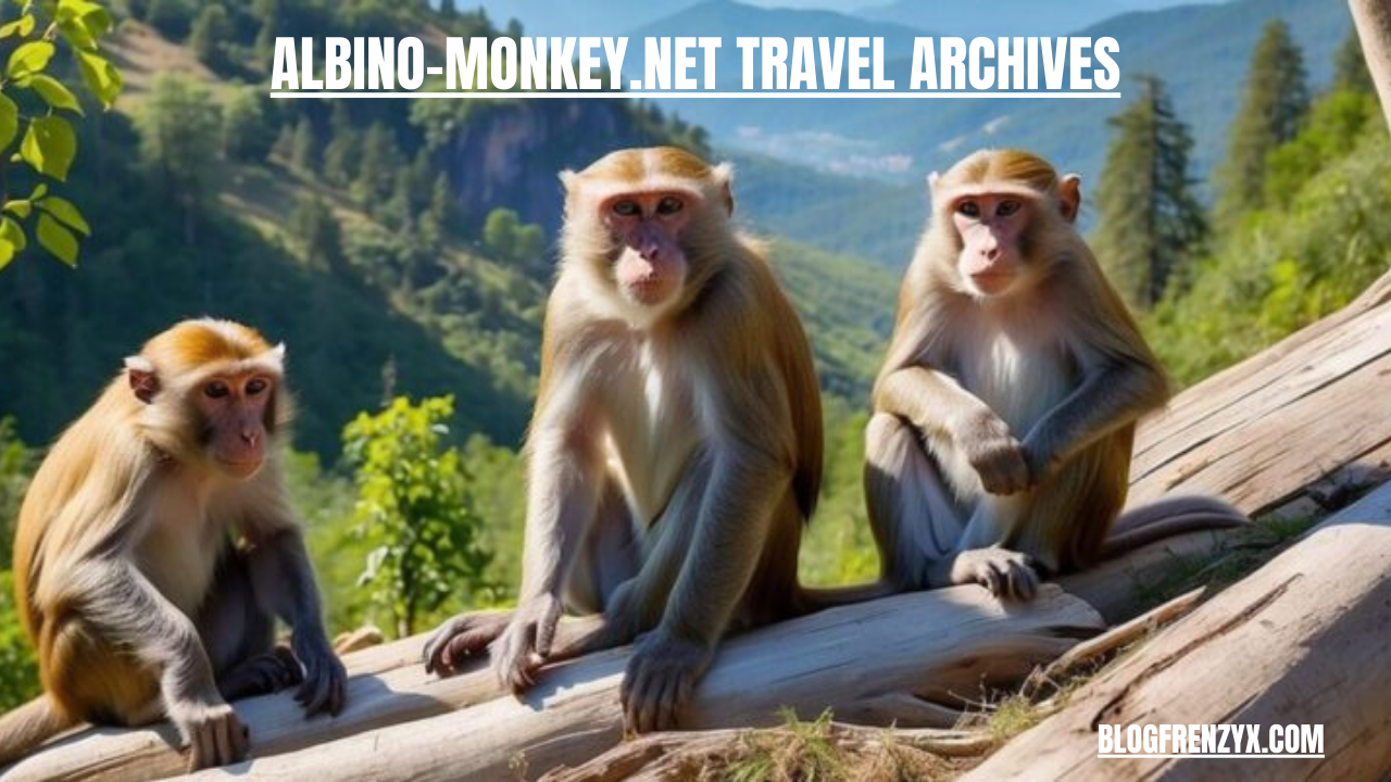 albino-monkey.net travel archives